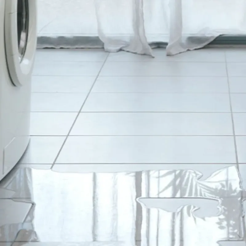 Appliance Leak Cleanup in Maroa, IL