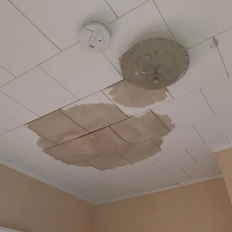 Ceiling Water Damage Repair in Maroa, IL