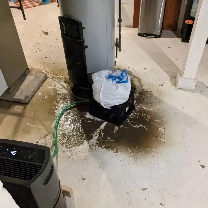 Sewage Backup Cleanup Service in Maroa, IL